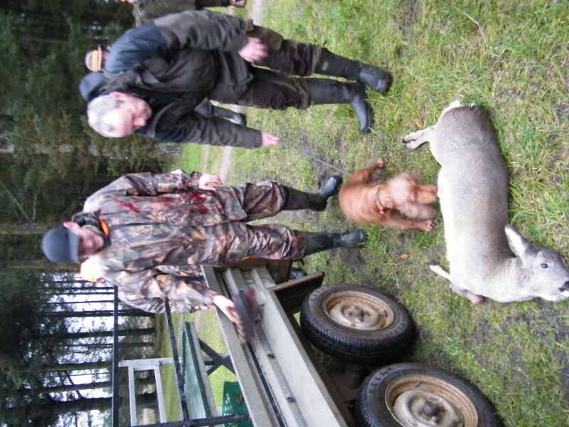 2015_foreningsjagt_furbryghus5.jpg