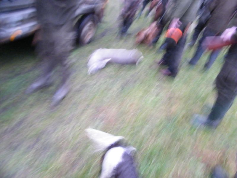 2015_foreningsjagt_furbryghus6.jpg