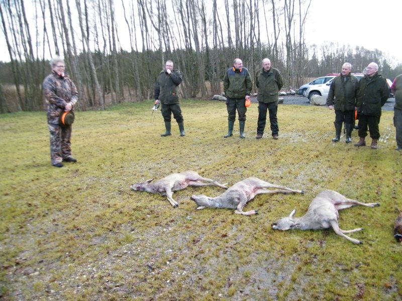 2015_foreningsjagt_furbryghus11.jpg