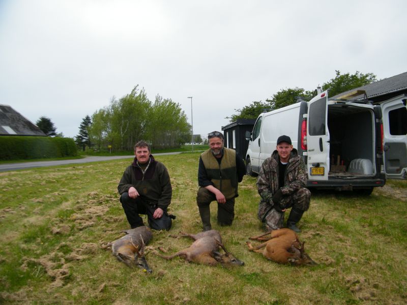juni_2015_bukkepral_006.jpg